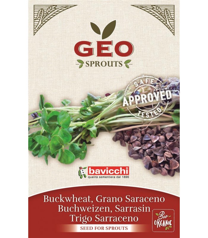 Гречка - семена для проращивания, сертифицированные, 90 г, GEO, Bavicchi
